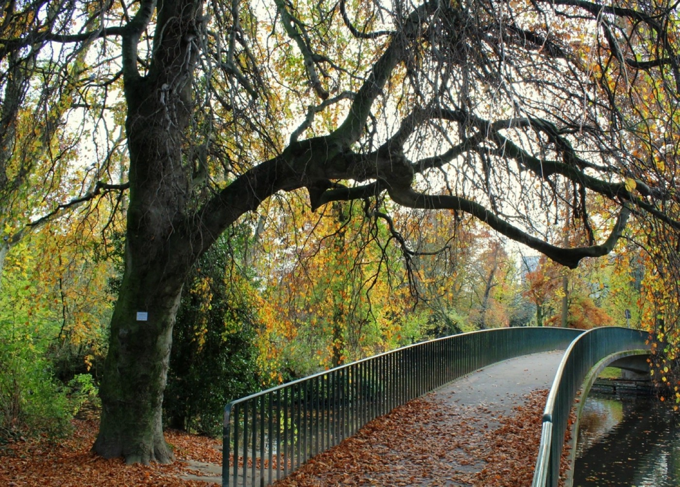 An autumn path marking the seasonal rental cycle