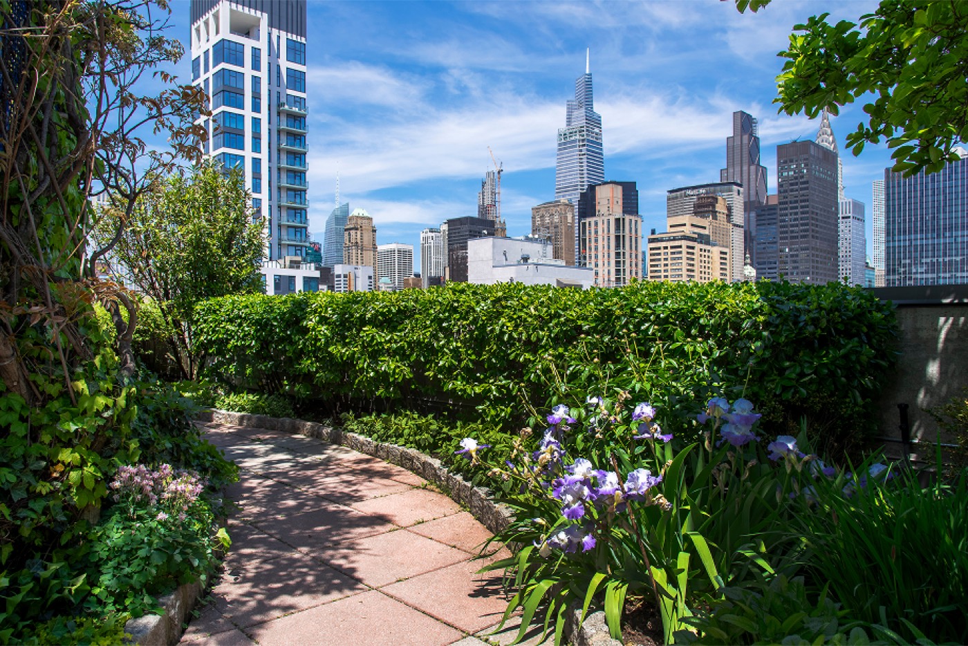 The Anthem rooftop terrace